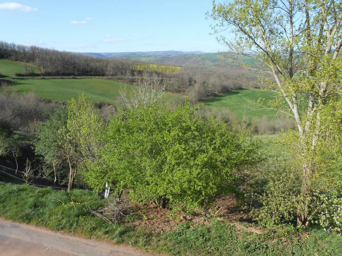 Saint-Izaire Chambre D'Hotes Des Monts מראה חיצוני תמונה
